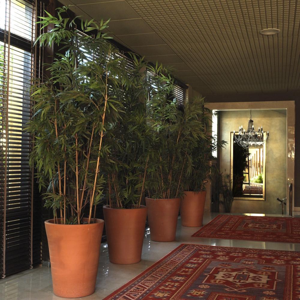 Luna Club Hotel Yoga & Spa 4Sup Malgrat de Mar Exterior foto